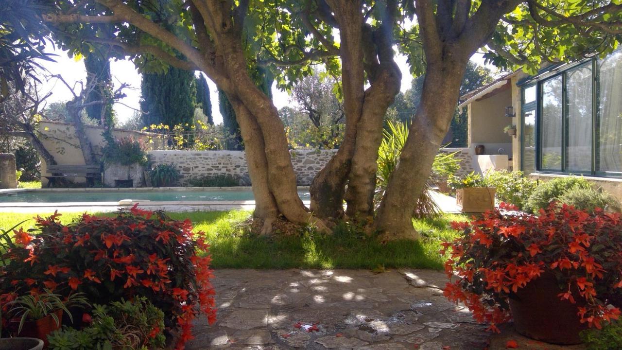 Apartmán Sous Le Figuier... Buisson Exteriér fotografie