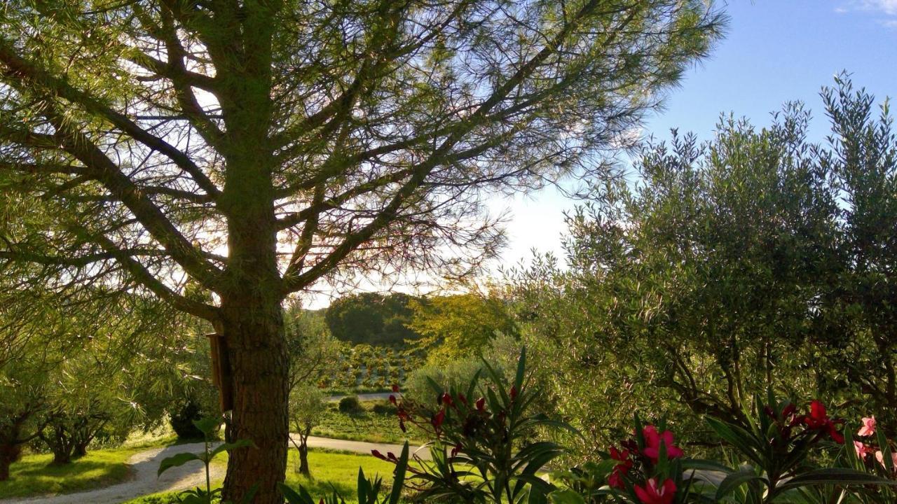 Apartmán Sous Le Figuier... Buisson Exteriér fotografie
